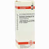 Dolichos Prur D12 Dilution 20 ml - ab 10,73 €
