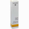 Dr. Hauschka Augencreme 12.5 ml - ab 29,00 €