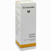 Dr. Hauschka Gesichtstonikum  100 ml - ab 23,49 €