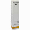 Dr. Hauschka Gesichtswaschcreme 50 ml - ab 13,50 €