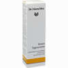 Dr. Hauschka Rosen Tagescreme  30 ml - ab 24,99 €