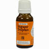 Dr.muches Ingwertropfen  20 ml - ab 6,54 €