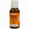 Dr.muches Ingwertropfen  20 ml