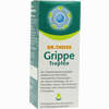 Dr. Theiss Grippe Tropfen  50 ml - ab 0,00 €