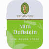 Duftstein Mini 1 Stück - ab 5,23 €