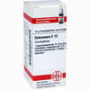 Dulcamara C12 Globuli 10 g - ab 6,85 €