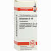 Dulcamara D10 Globuli 10 g - ab 7,70 €