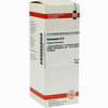 Dulcamara D6 Dilution 50 ml - ab 12,60 €