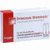 Abbildung von Dynexan Mundgel Zylinderampulle Gel 2 x 1.7 g