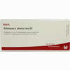 Echinacea E Pl Tota D3 Ampullen 10 x 1 ml - ab 24,49 €