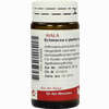 Echinacea E Pl Tota D3 Globuli 20 g - ab 7,18 €