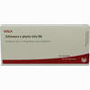 Echinacea E Pl Tota D6 Ampullen 10 x 1 ml - ab 0,00 €