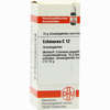 Echinacea (hab) C12 Globuli 10 g - ab 6,98 €