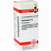 Echinacea (hab) C6 Globuli 10 g - ab 6,98 €