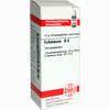 Echinacea (hab) D4 Globuli 10 g - ab 6,98 €
