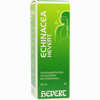 Echinacea Hevert Tropfen 50 ml