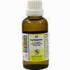 Echinacea K Komplex 65 Dilution 50 ml - ab 9,97 €