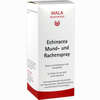 Echinacea Mund- und Rachenspray 50 ml