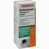Echinacea- Ratiopharm Liquid Lösung 100 ml - ab 6,29 €