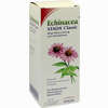Abbildung von Echinacea Stada Classic Tropfen 100 ml