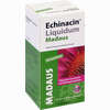 Abbildung von Echinacin Liquidum Madaus  50 ml