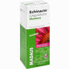 Abbildung von Echinacin Liquidum Madaus  100 ml