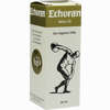 Echoran Aktiv Öl  30 ml - ab 15,11 €