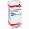 Eichhornia D2 Globuli 10 g - ab 7,55 €