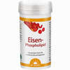 Eisen- Phospholipid Dr. Jacobs Pulver 64 g - ab 12,40 €