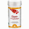 Eisen- Phospholipid Dr. Jacobs Pulver 64 g - ab 11,90 €