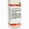 Elaps Corallinus D30 Globuli 10 g - ab 7,17 €