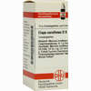 Elaps Corallinus D8 Globuli 10 g - ab 8,65 €