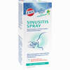 Ems Sinusitis Spray mit Eukalyptusöl  15 ml - ab 7,14 €