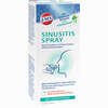 Ems Sinusitis Spray mit Eukalyptusöl  15 ml