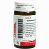 Endometrium Comp Globuli 20 g - ab 7,18 €