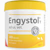 Engystol T Ad Us. Vet.  500 Stück - ab 57,77 €