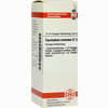 Equisetum Arv D12 Dilution 20 ml - ab 8,68 €