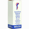Equisetum Arv Silic Cu Rh Dilution 20 ml - ab 14,93 €