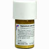 Equisetum C Sulf Tost D6 Trituration 20 g - ab 22,41 €
