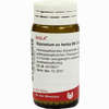 Equisetum Ex Herba D6 Globuli 20 g - ab 7,66 €