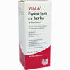 Equisetum Ex Herba W 5% Ol Öl 100 ml - ab 9,27 €