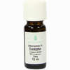 Etherisches Öl Eucalyptus  10 ml - ab 4,00 €
