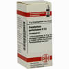 Eupatorium Perf D12 Globuli 10 g - ab 6,98 €