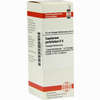 Eupatorium Perf D6 Dilution 20 ml - ab 7,84 €