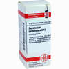 Eupatorium Perfol C12 Globuli 10 g - ab 7,42 €