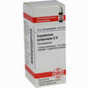 Eupatorium Purpur D6 Globuli 10 g - ab 7,55 €