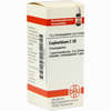 Euphorbium C30 Globuli 10 g - ab 7,84 €