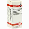 Euphorbium D12 Globuli 10 g - ab 7,55 €