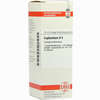 Euphorbium D4 Dilution 20 ml - ab 8,40 €