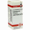 Euphorbium D6 Globuli 10 g - ab 7,55 €